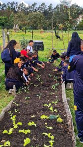 751b11a9-b5f7-4326-96e5-81f56ef0ac52