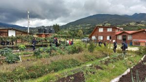 9a316843-b1d0-4dad-bf43-915e87baa652