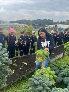 9b559aff-e79a-4bc2-bb2d-2a3da731202f (1)