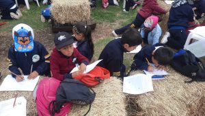 WhatsApp Image 2024-09-27 at 9.14.20 AM