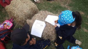 WhatsApp Image 2024-09-27 at 9.14.29 AM