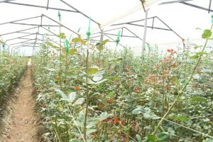 WhatsApp Image 2024-10-04 at 10.31.28 AM