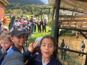 eade5025-0900-4820-aec0-a0381e939b50 (1)